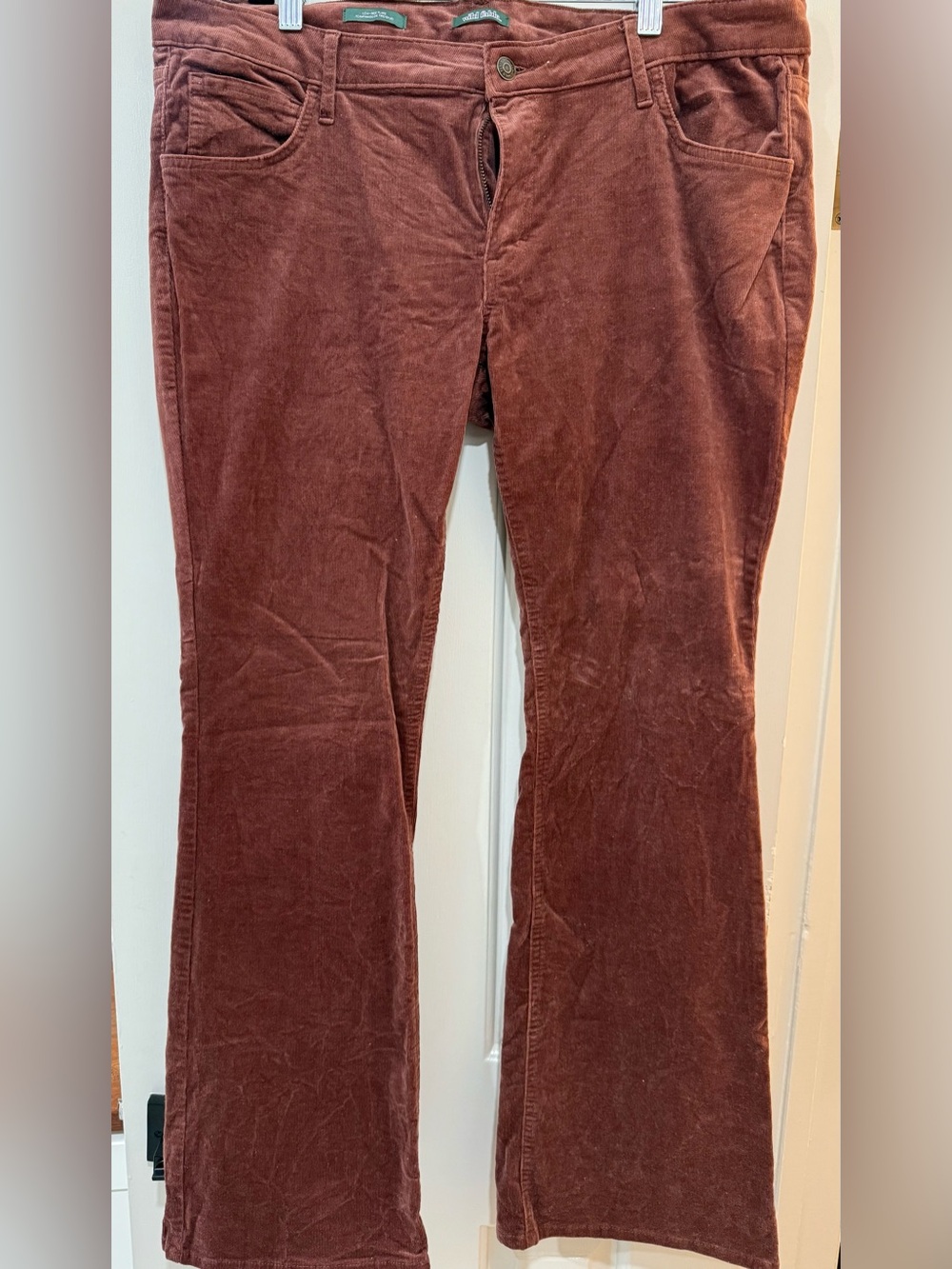 wild fable woman’s Rust Brown Corduroy Pants